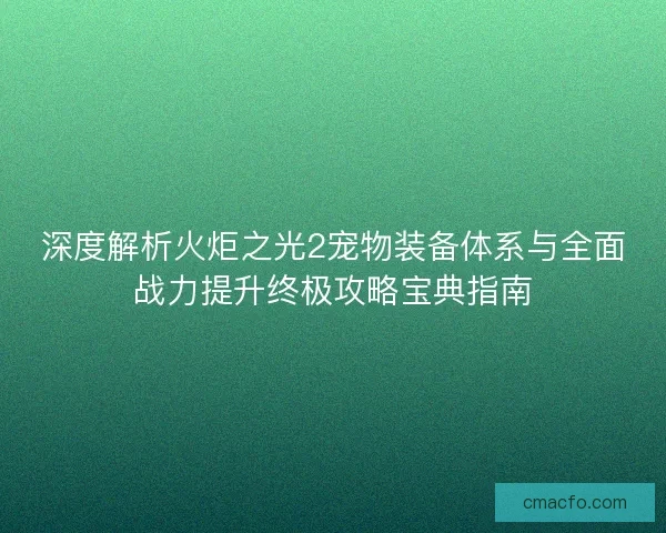 深度解析火炬之光2宠物装备体系与全面战力提升终极攻略宝典指南