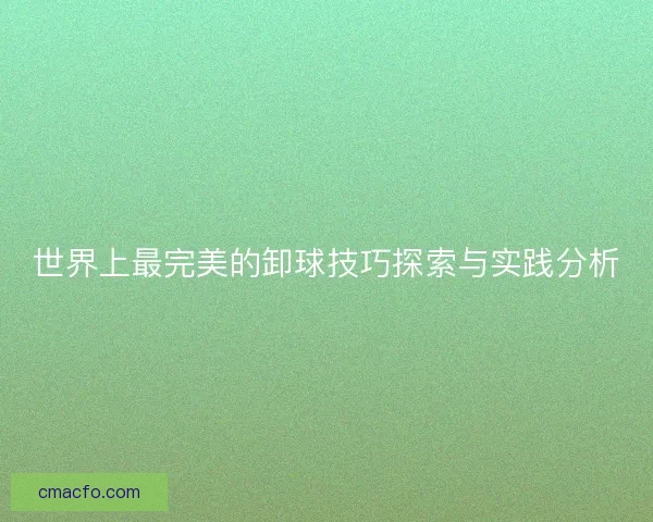 世界上最完美的卸球技巧探索与实践分析